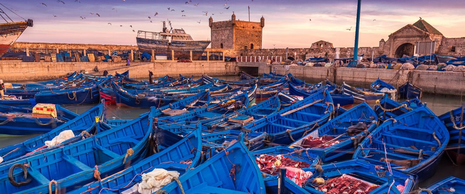 Essaouira : La Perle de l'Atlantique aux Charmes Historiques